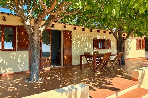 Finca in Porto Cristo, Mallorca - photo 5